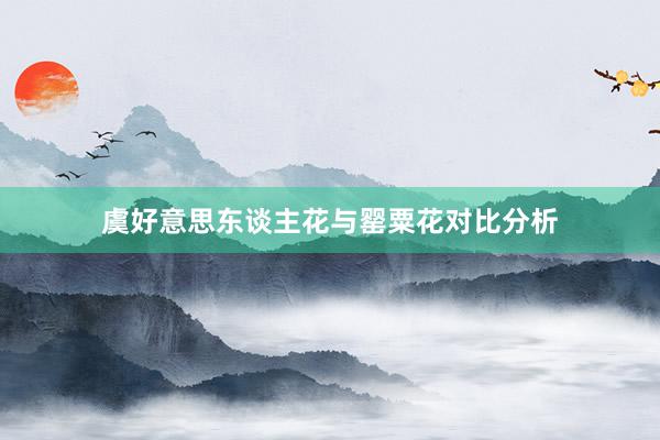 虞好意思东谈主花与罂粟花对比分析