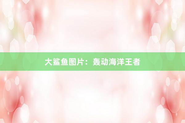 大鲨鱼图片：轰动海洋王者