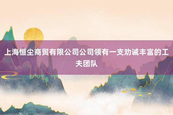 上海恒尘商贸有限公司公司领有一支劝诫丰富的工夫团队