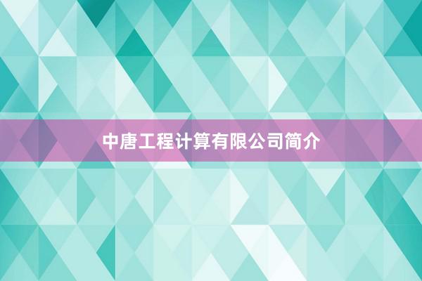 中唐工程计算有限公司简介