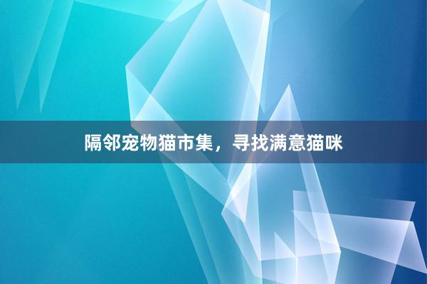隔邻宠物猫市集，寻找满意猫咪