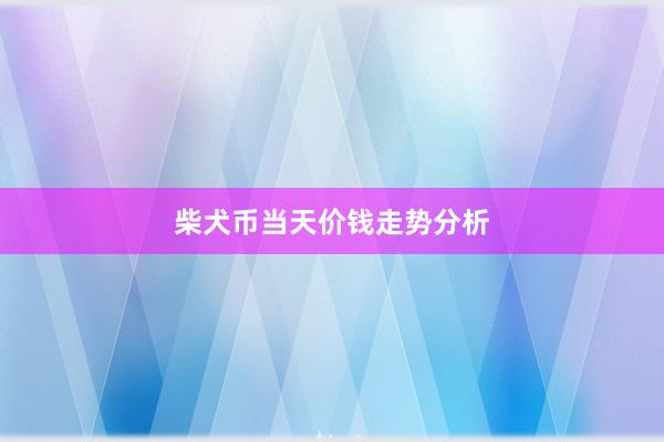 柴犬币当天价钱走势分析